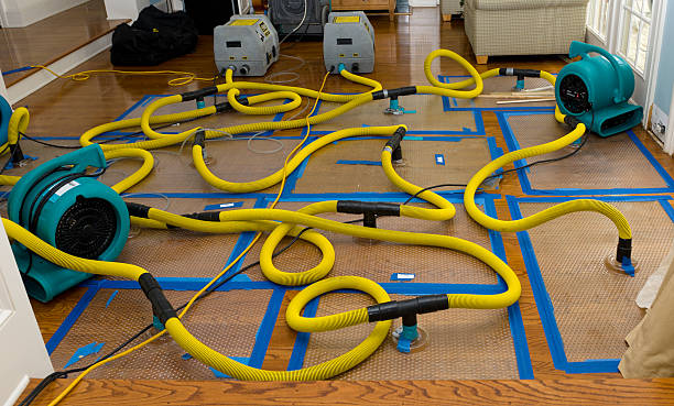 Professional Water Damage Repair technician working in Bell Gardens, CA